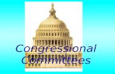 Congressional Committees Standing Committees  Permanent  House members only  Senate members only  Writes, reviews, approves most bills.