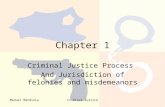 Manuel MendiolaCriminal Justice Chapter 1 Criminal Justice Process And Jurisdiction of felonies and misdemeanors.
