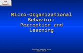 ILRCornellILRCornell Copyright 1999 by Brent Smith, Ph.D. Micro-Organizational Behavior: Perception and Learning.