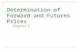 Determination of Forward and Futures Prices Chapter 5.