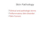 Skin Pathology ï± Clinical and pathologic terms ï± Inflammatory Skin Disorder ï± Skin Tumors