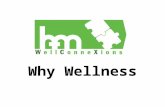 Why Wellness. Chronic Diseases related to lifestyle accounts for 75% of healthcare spend, and 96% of pharmacy spend. Major opportunity for impact is keeping.