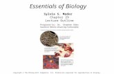 Essentials of Biology Sylvia S. Mader Chapter 29 Lecture Outline Prepared by: Dr. Stephen Ebbs Southern Illinois University Carbondale Copyright © The.