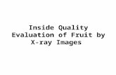 Inside Quality Evaluation of Fruit by X-ray Images.