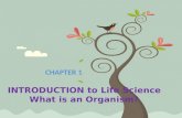 INTRODUCTION to Life Science What is an Organism? CHAPTER 1.