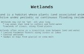 Wetlands A wetland is a habitat where plants (and associated animals) that thrive under periodic or continuous flooding reside  Wetlands may not be “wet”