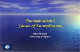 Eutrophication 2 Causes of Eutrophication Alice Newton University of Algarve.