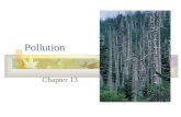 Pollution Chapter 13. Water Pollution Types and Sources of Water Pollution  #1 problem - Eroded soils  Organic wastes, disease-causing agents  Chemicals,
