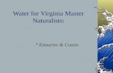 Water for Virginia Master Naturalists: Estuaries & Coasts.