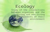 Ecology Study of the interactions between organisms and the living and non- living components of their environment.