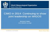 WMO CIMO in 2014: Continuing to show joint leadership on WIGOS Bertrand Calpini ICG WIGOS co-chair ICG-WIGOS-4, 17-20 Feb 2015.