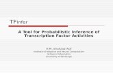 TF Infer A Tool for Probabilistic Inference of Transcription Factor Activities H.M. Shahzad Asif Institute of Adaptive and Neural Computation School of.