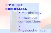 Starch Analysis Morphology Chemical compositions Physicochemical properties Molecular structure.