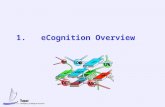1.eCognition Overview. 1 eCognition eCognition is a knowledge utilisation platform based on Active Knowledge Network technology eCognition covers the.