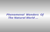 Phenomenal Wonders Of The Natural World.... WebEcoist and Environmental Oddities.