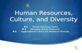 Human Resources, Culture, and Diversity 8-1 Human Resources Basics 8-2 Managing Human Resources 8-3 Organizational Culture and Workforce Diversity 8.