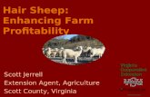Hair Sheep: Enhancing Farm Profitability Scott Jerrell Extension Agent, Agriculture Scott County, Virginia.