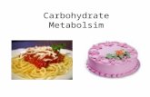 Carbohydrate Metabolsim. You will be able to… Explain how Carbs are digested & absorbed Draw the steps involved in Glycolysis Compare and contrast aerobic.