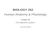 BIOLOGY 252 Human Anatomy & Physiology Chapter 24 The Digestive System: Lecture Notes.