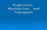 Digestion, Absorption, and Transport Overview Digestive System   Functions: Digestion, Absorption, Elimination Digestion – process of breaking down.