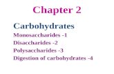 Chapter 2 Carbohydrates 1- Monosaccharides 2- Disaccharides 3- Polysaccharides 4- Digestion of carbohydrates.