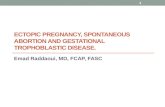 ECTOPIC PREGNANCY, SPONTANEOUS ABORTION AND GESTATIONAL TROPHOBLASTIC DISEASE. Emad Raddaoui, MD, FCAP, FASC 1.