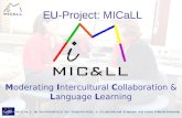 EU-Project: MICaLL Moderating Intercultural Collaboration & Language Learning.
