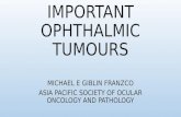 IMPORTANT OPHTHALMIC TUMOURS MICHAEL E GIBLIN FRANZCO ASIA PACIFIC SOCIETY OF OCULAR ONCOLOGY AND PATHOLOGY.