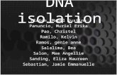 DNA isolation Platon, Mabel Justine Panuncio, Muriel Erika Pao, Christel Ramilo, Kelvin Ramos, genie anne Salalima, Bea Salon, Mae Angellie Sanding, Eliza.