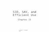 SID, SAV, and Efficient Use Chapter 15 © Allen C. Goodman, 2013.