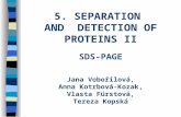 5. SEPARATION AND DETECTION OF PROTEINS II SDS-PAGE Jana Vobořilová, Anna Kotrbová-Kozak, Vlasta Fürstová, Tereza Kopská.