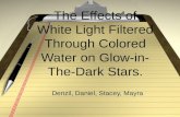 The Effects of White Light Filtered Through Colored Water on Glow-in- The-Dark Stars. Denzil, Daniel, Stacey, Mayra.