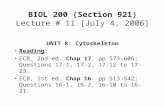 BIOL 200 (Section 921) Lecture # 11 [July 4, 2006] UNIT 8: Cytoskeleton Reading: ECB, 2nd ed. Chap 17. pp 573-606; Questions 17-1, 17-2, 17-12 to 17-23.