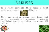 VIRUSES Is a tiny particle that needs a host cell to reproduce and multiply. They are neither alive nor dead… but most scientists consider viruses nonliving.