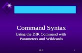 Ch 21 Command Syntax Using the DIR Command with Parameters and Wildcards.