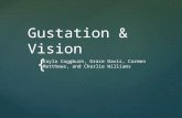 { Gustation & Vision Kayla Coggburn, Grace Davis, Carmen Matthews, and Charlie Williams.