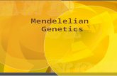 1 Mendelelian Genetics copyright cmassengale. 2 Gregor Mendel ( 1822-1884) Responsible for the Laws governing Inheritance of Traits copyright cmassengale.