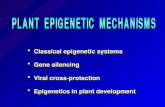 Classical epigenetic systems Classical epigenetic systems Gene silencing Gene silencing Viral cross-protection Viral cross-protection Epigenetics in plant.