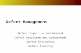 Defect Management Defect Injection and Removal Defect Detection and Containment Defect Estimation Defect Tracking.