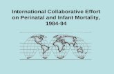International Collaborative Effort on Perinatal and Infant Mortality, 1984-94.