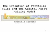1 The Evolution of Portfolio Rules and the Capital Asset Pricing Model Emanuela Sciubba.