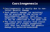 Carcinogenesis Carcinogenesis is mostly due to non-lethal genetic damage Carcinogenesis is mostly due to non-lethal genetic damage Such genetic damage.