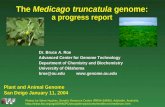 The Medicago truncatula genome: a progress report Dr. Bruce A. Roe Advanced Center for Genome Technology Department of Chemistry and Biochemistry University.