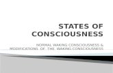 NORMAL WAKING CONSCIOUSNESS & MODIFICATIONS OF THE WAKING CONSCIOUSNESS.