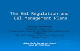 The Eel Regulation and Eel Management Plans Christos THEOPHILOU European Commission Directorate General for Maritime Affairs and Fisheries Unit A2: Common.