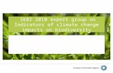 SEBI 2010 expert group on Indicators of climate change impacts on biodiversity Presentation of the SEBI 2009 report and follow-up Sophie Condé SEBI WG1.