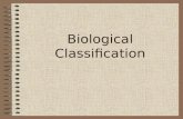 Biological Classification. Why classify? Humans have developed classification systems in order to make sense of the abundant biological diversity that.
