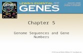 Chapter 5 Genome Sequences and Gene Numbers. 5.1Introduction  Genome size vary from approximately 470 genes for Mycoplasma genitalium to 25,000 for human.