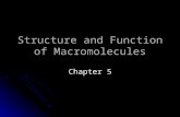 Structure and Function of Macromolecules Chapter 5.