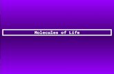 Molecules of Life. Organic Compounds: Molecules containing the element of carbon and at least one hydrogen atom. Chemistry of Carbon Atoms Carbon atoms.